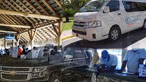 Transfer from Punta Cana Airport, Taxi, to Hotels in Bavaro Punta Cana