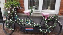 Amsterdam Private Half-day Countryside Bike Tour
