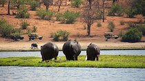 Livingstone to South Luangua National Park package