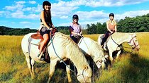 Horseback Riding Tour in Bohemian Switzerland