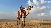 Short Layover Tour to Giza pyramids & Sphinx included Camel Ride 