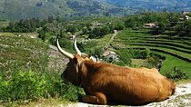 Gerês Private Tour (All Inclusive)