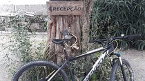 Rent mountain bike for bike path old railway to Famalicão