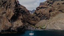 Los Gigantes Clifs Small-Group Sail Tour with Lunch