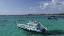 GlassBottom Catamaran with Slide