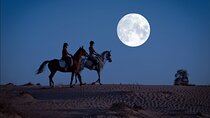 Full Moon Horse Riding in Dubai