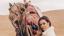 Camel Ride or Horse around the Pyramids