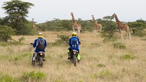4 days incredible wildlife off-road motorbike tour in Soysambu Conservancy