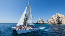 Catamaran Snorkel at Los Cabos! Gorgeous Snorkel & Party + Round Transportation 