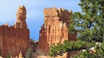 Zion and Bryce Canyon National Park Small Group Tour
