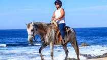 2 hours Horseback Riding & Dune Buggy Combo at Migriño Beach