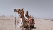 Camel or Horse Riding at The Giza Pyramids Area