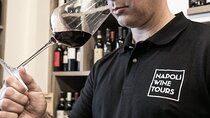 Private Evening Campania Felix Wine Tasting Evening in Naples