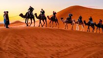 Private 3-Days Desert Tour from Marrakech to Merzouga and Fes