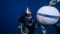 Small-Group Shark and Turtle Dive for Certified Divers