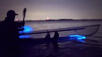 Florida Bioluminescence Clear Kayak tour/ Beacon 42 (Titusville)