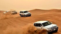 Evening Desert Safari with BBQ Dinner