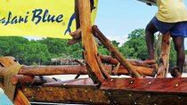 Full-Day Blue Lagoon and Sandbank Boat Tour from Zanzibar ( Safari blue)