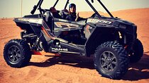 1 Hour Majestic Arabian Desert Buggy Tour