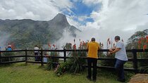 Tour Cocora Valley hummingbird circuit 