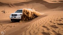 Arabian Dune Safari