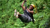 Arenal Volcano Canopy Tour, 50 meters Rappeling and Hot Springs