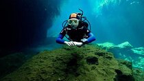 Tulum Area Experiences "Try" Scuba Diving Casa Cenote - Snacks - No experience
