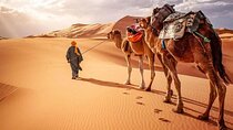 Morocco Desert Tour Private 4-Days from Marrakech to Merzouga