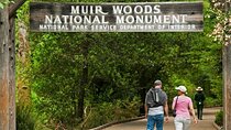 Muir Woods Express with Golden Gate Bridge Visit