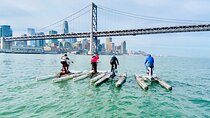 SpinOut Scenic Waterbike Experience of San Francisco Bay