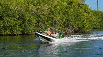 Jungle Tour adventure Cancun Speed Boat Through Mangrove