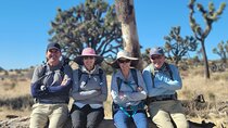 Full Day Hike in Joshua Tree National Park