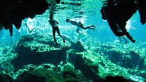 TOUR CENOTE AND SNORKELING WITH TURTLES (Private) 