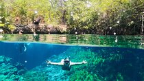 VIP Cenotes, ATVs & Ziplines Private Tour
