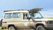 Tarangire National Park Day Tour