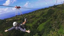 4 Dual-Zipline Mountain Adventure in Maui
