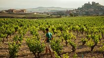 Full-Day Private Cultural and Gastronomic Adventure in Rioja