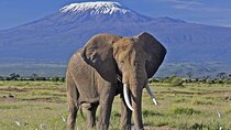 5 Day Amboseli & Tsavo West Safari
