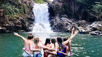 Jungle Waterfall Adventure on Maui