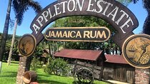 Appleton Estate Rum Factory And YS Falls Inclusive Tours From Montego Bay 