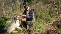 Private Truffle Hunt in Tuscany