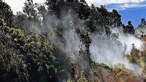 Hawaii Volcanoes National Park Experience from Oahu