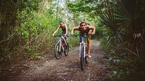 3 Cenotes Bike Adventure Private Tour from Tulum
