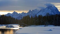 Luxury 1/2 Day Winter Grand Teton Tour & Sleigh Ride