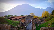Full-Day Tour in Pompeii & Herculaneum with lunch from Naples