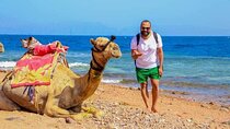 Private Full Day Snorkeling, quad biking In Dahab From Sharm El Sheikh