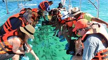 Lands End Tour by Clear Boat in Cabo San Lucas