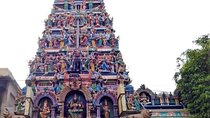 Unexplored Chennai tour of mysterious temple carvings on science & other gems