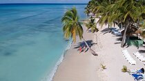 Full-Day Tour of Saona Island from Punta Cana