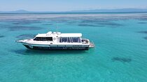 ABC Reef Safaris Dive & Snorkel Port Douglas